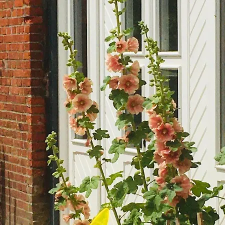 펜션 Ferienwohnanlage Sturmhoehe Welt